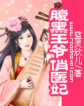 腹黑王爷俏医妃