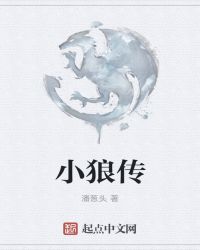 小狼传