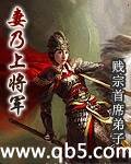 妻乃上将军