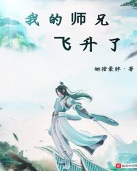 我的师兄飞升了