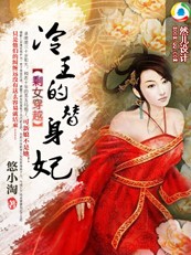 剩女穿越：冷王的替身妃【正文完】