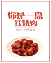 你是一盘红烧肉