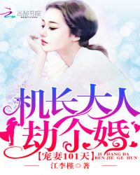 宠妻101天：机长大人，劫个婚