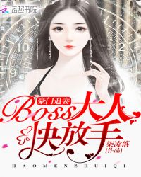 豪门追妻：BOSS大人快放手！