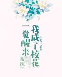 一觉醒来我成了校花