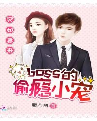 突如妻来：boss的偷瘾小宠