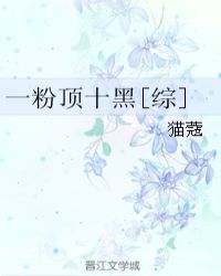 一粉顶十黑[综]