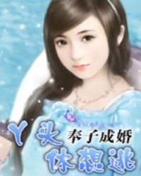 奉子成婚：丫头，休想逃