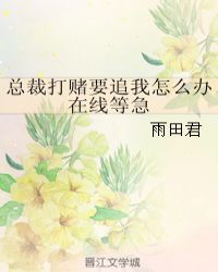 总裁打赌要追我怎么办在线等急