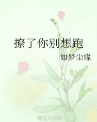 撩了你别想跑