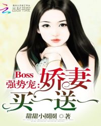 Boss强势宠：娇妻买一送一