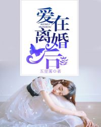 爱在离婚后