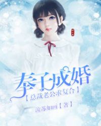 奉子成婚：总裁老公求复合