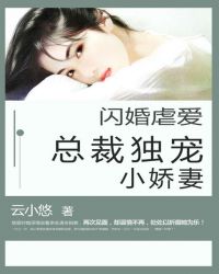 闪婚虐爱：总裁独宠小娇妻