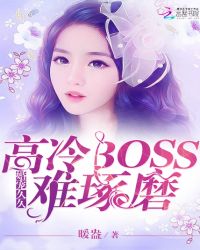 婚宠久久：高冷BOSS难琢磨