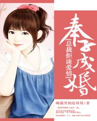 奉子成婚：总裁拒谈爱情