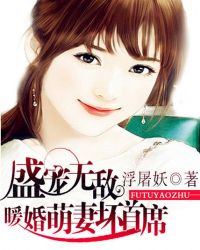 盛宠无敌：暖婚萌妻坏首席