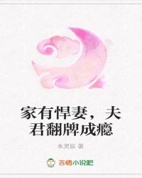 家有悍妻，夫君翻牌成瘾