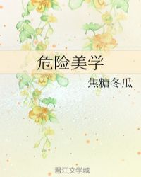 危险美学