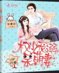 VIP闪婚：权少溺宠呆萌妻