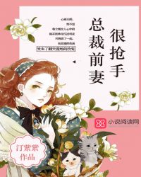 总裁前妻很抢手