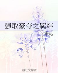 强取豪夺之羁绊