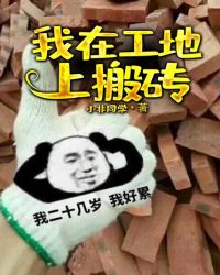 我在工地上搬砖