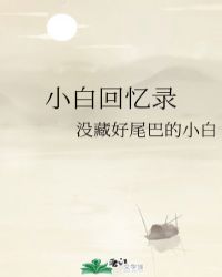 小白回忆录