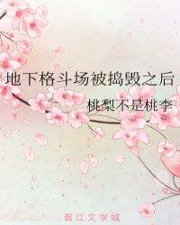 地下格斗场被捣毁之后