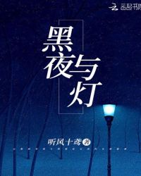 黑夜与灯