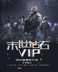 末世钻石VIP