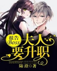 报告Boss，夫人要升职