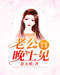 娇妻来袭：老公晚上见