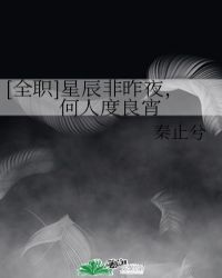 [全职]星辰非昨夜，何人度良宵