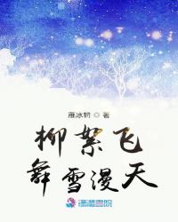 柳絮飞舞雪漫天