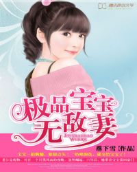 极品宝宝无敌妻