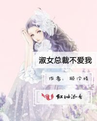 淑女总裁不爱我