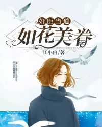 奸臣当道：如花美眷