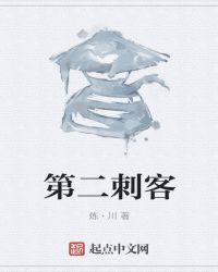 第二刺客