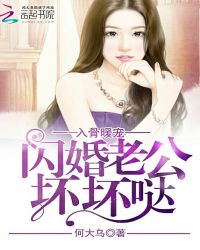 入骨暖宠：闪婚老公坏坏哒