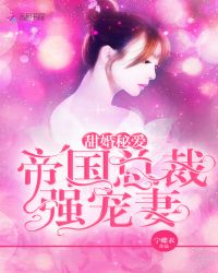 甜婚秘爱：帝国总裁强宠妻