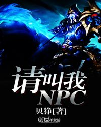 请叫我NPC