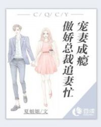 宠妻成瘾：傲娇总裁追妻忙