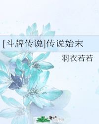 [斗牌传说]传说始末