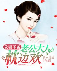 攻妻不备：老公大人枕边欢