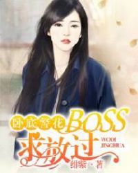 卧底警花：BOSS，求放过