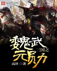 三国之魏武元勋