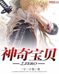 神奇宝贝之ZERO