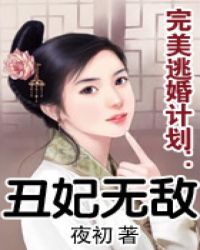 完美逃婚计划：丑妃无敌