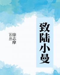 致陆小曼